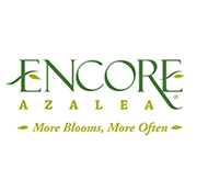 Encore&reg; Azalea