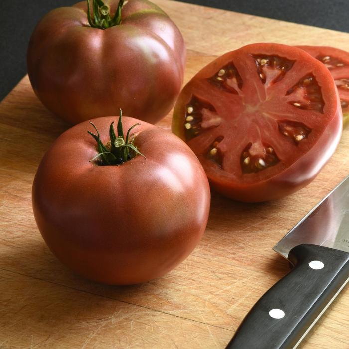 'DarkStar' Beefsteak Tomato - Lycopersicon from Keathly Nursery