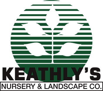 Keathly Nursery